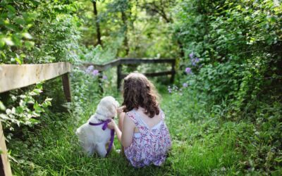 How Professional Mosquito Control Helps You Enjoy Your Backyard