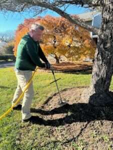 Tree Fertilizing Services