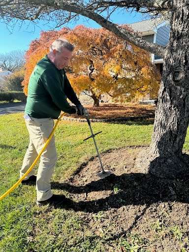 Fall Tree Fertilizing Service Tree Fertilizing Services