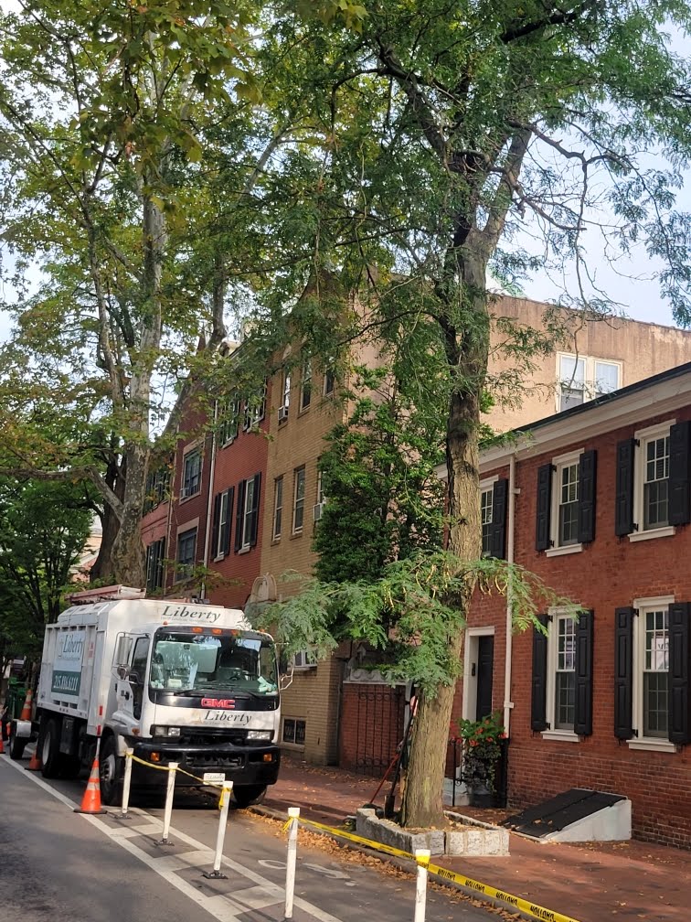 Growth Regulators for Urban Street Trees Growth Regulators for Urban Street Trees