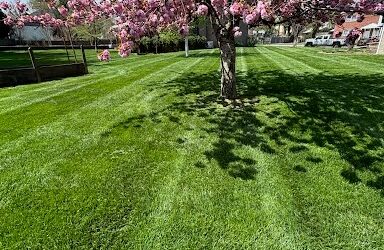 Fall Lawn Aeration and Seeding: The Foundation of a Healthy Lawn