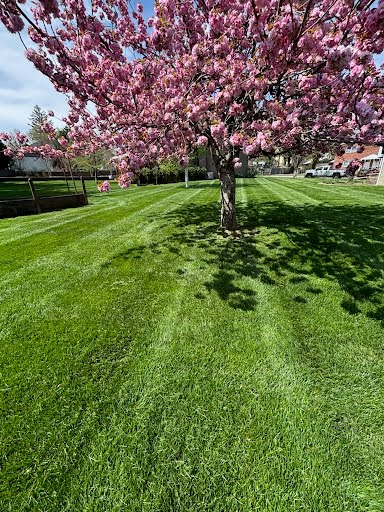 Fall Lawn Aeration and Seeding: The Foundation of a Healthy Lawn